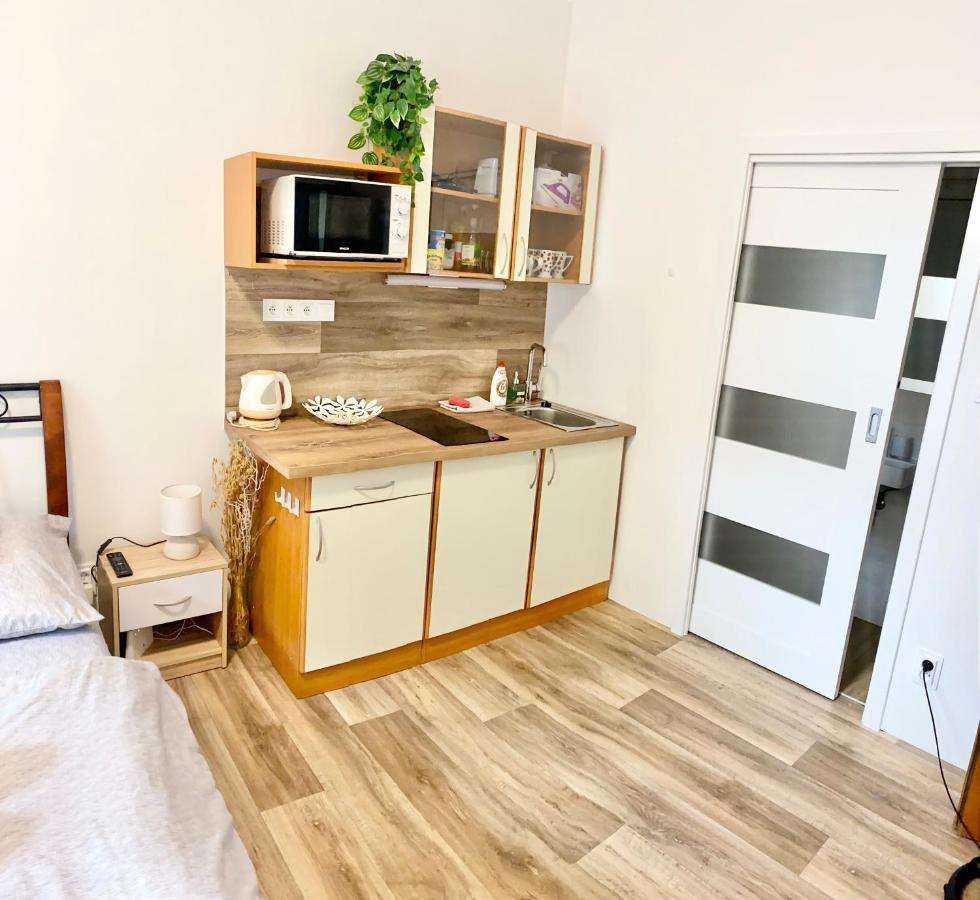 Private Apartment - Park Olomouc - Super Lokalita Eksteriør billede